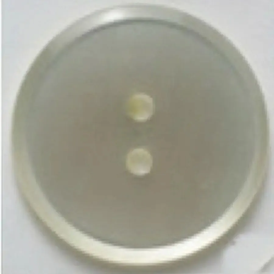 25mm 2 Hole Poly FashionButton DB77 -- Dill Buttons