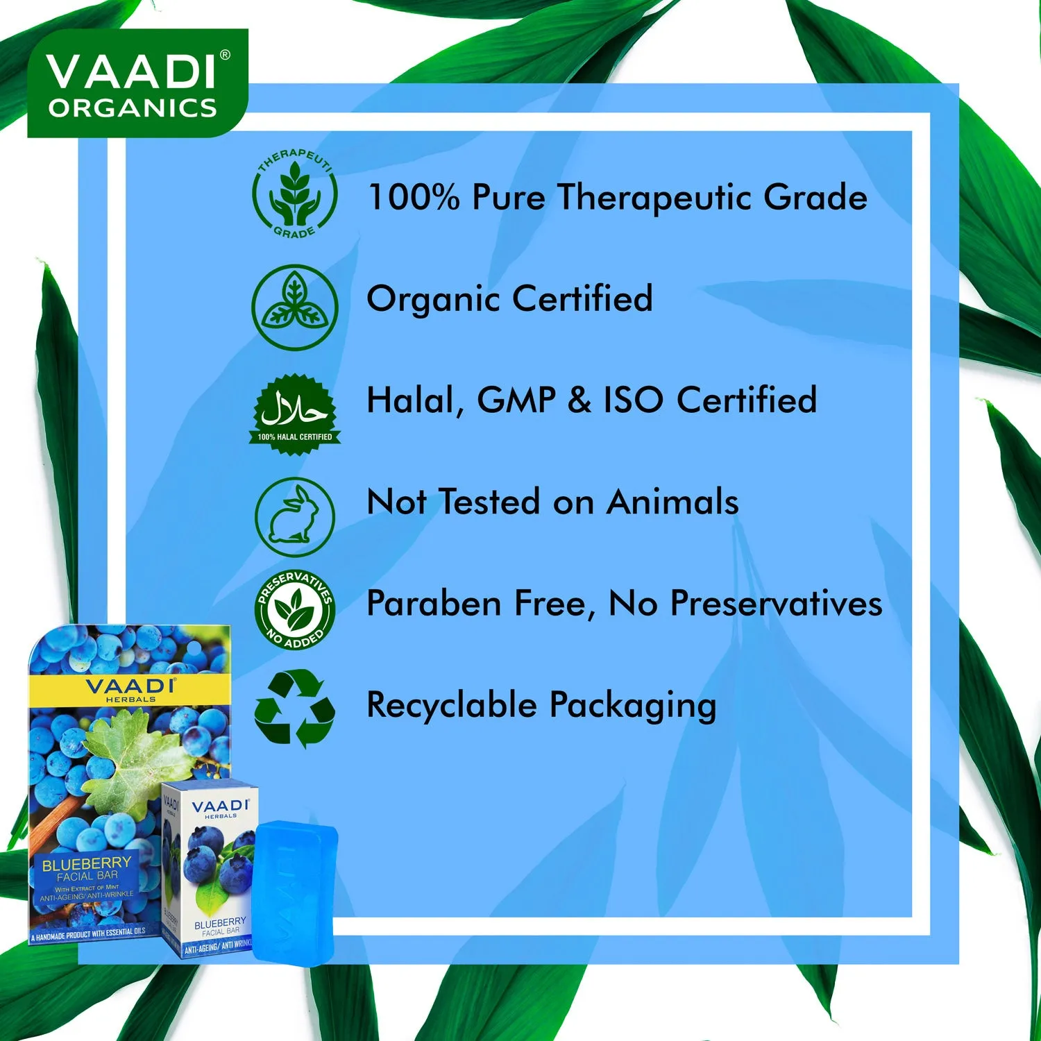 Pack of 4 Blueberry Facial Bars with Extract of Mint (25 gms x 4)