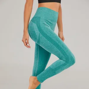 tiktok seamless yoga fitness compression yoga leggings FOR women